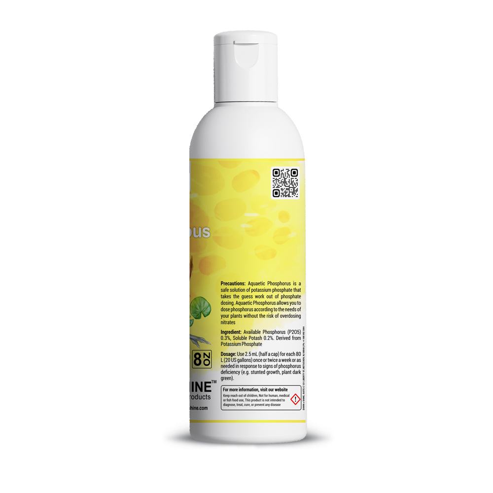 Aquaetic Phosphorous - Dawn N Shine product thumbnail