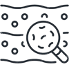 Nitrifying Bacteria