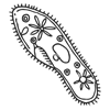 Protozoan